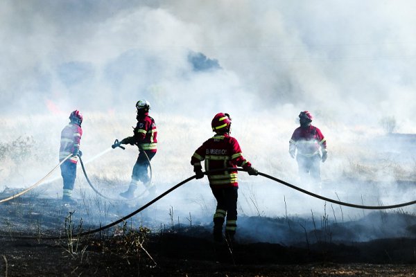 Portugal perdeu perto de 10 mil bombeiros voluntários em quase duas décadas
